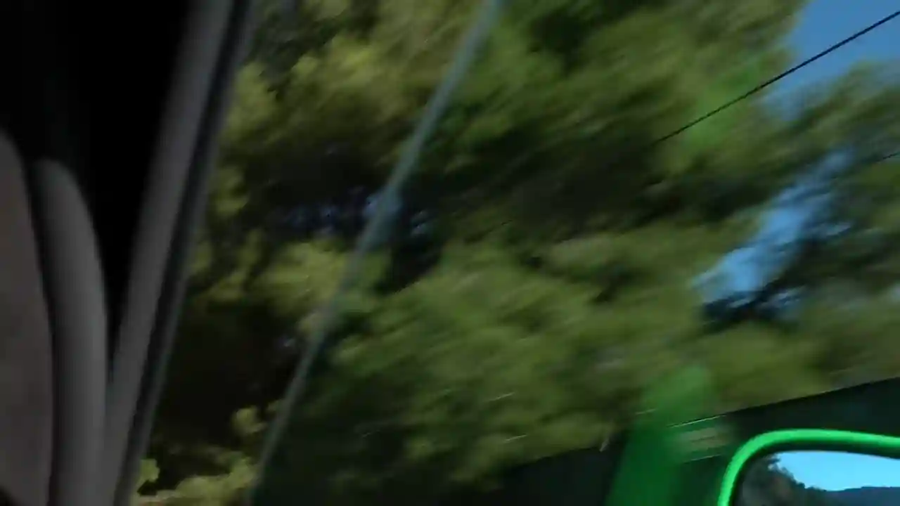 unveiling-the-unique-signal-green-laferrari-a-thrilling-ride-through-monaco