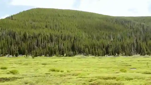 wildlife-adventures-with-bentley-bentega-speed