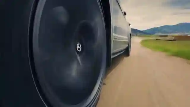 wildlife-adventures-with-bentley-bentega-speed